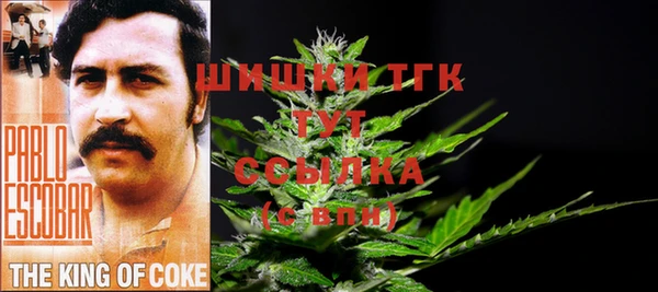 мет Абаза