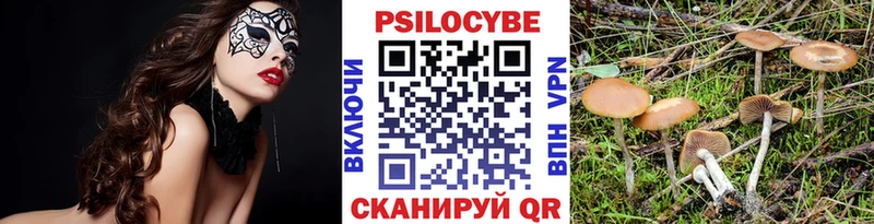 Псилоцибиновые грибы Psilocybe Адыгейск
